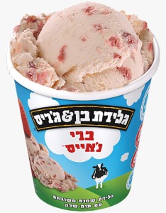 משפחתית ברי נ'אייס כשר לפסח